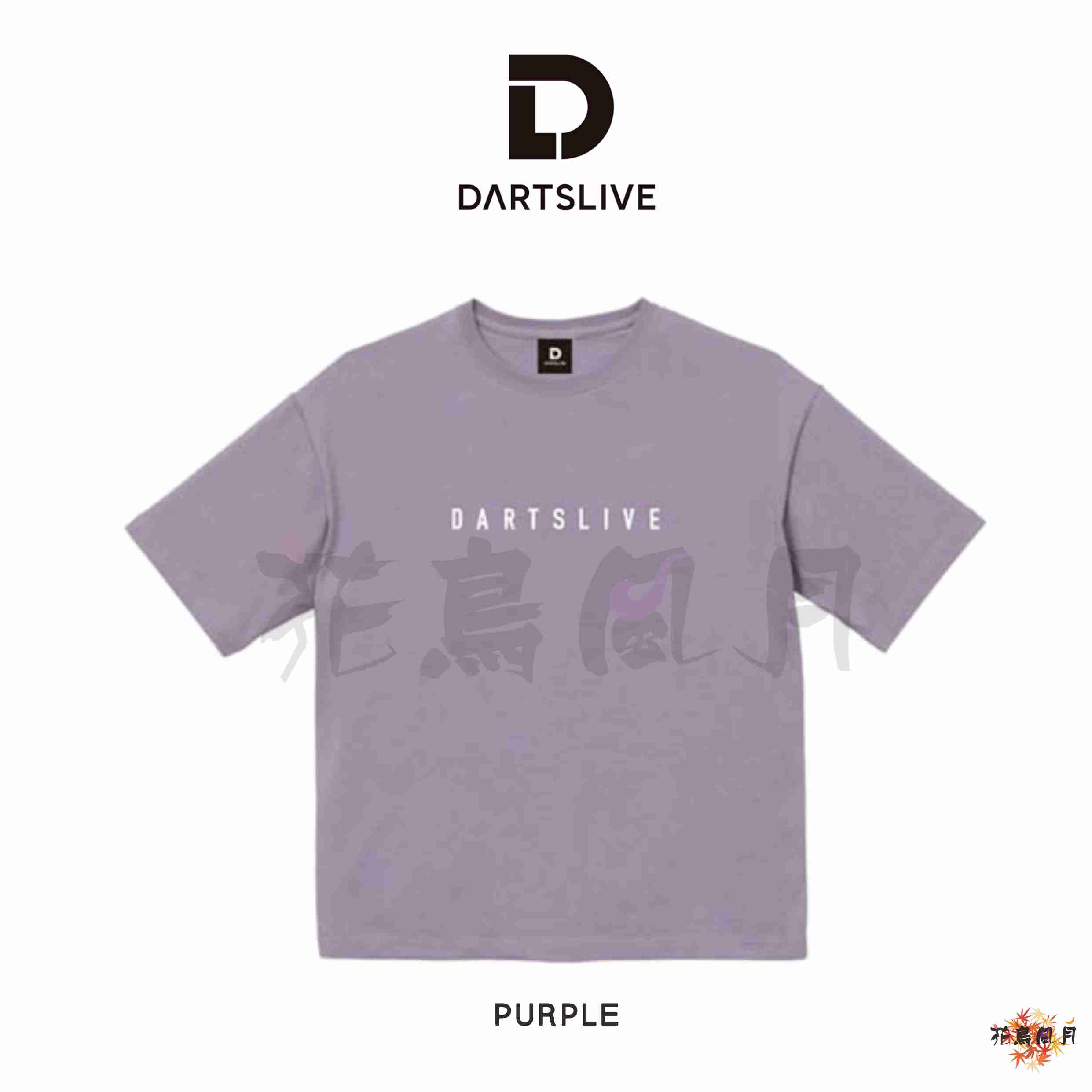 DARTSLIVE-Tshirt