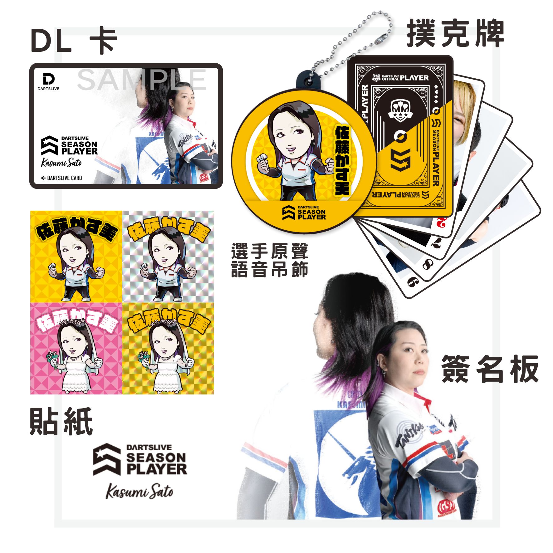 DARTSLIVE PLAYER GOODS 村松治樹選手セット | www.pvi.ne