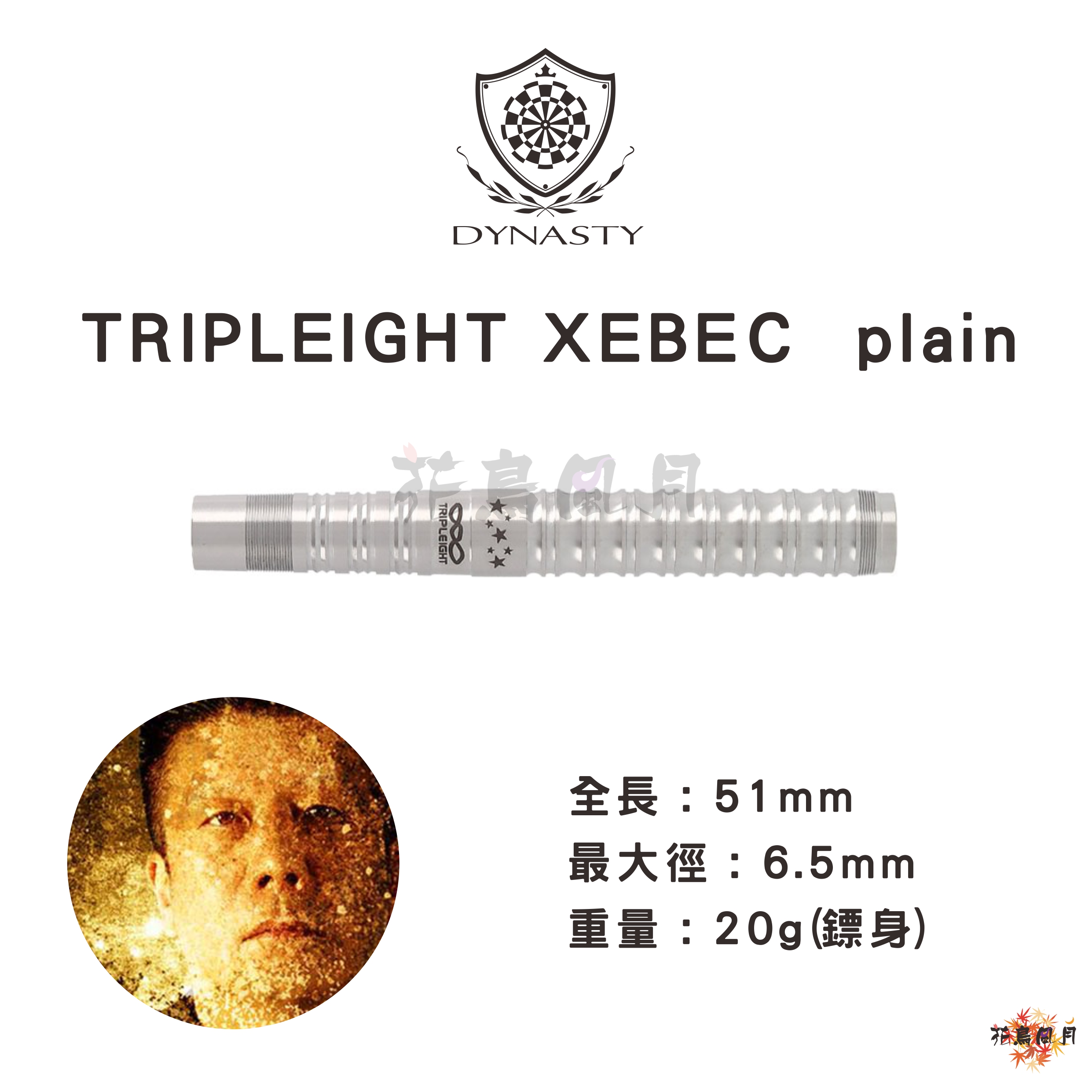 DYNASTY-XEBEC-plain